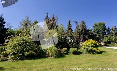 Image of Beautiful summer garden design