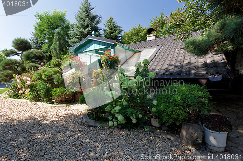 Image of Dog baby house with flowers