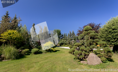 Image of Beautiful summer garden design
