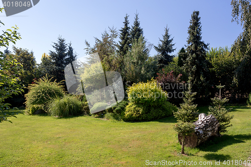 Image of Beautiful summer garden design