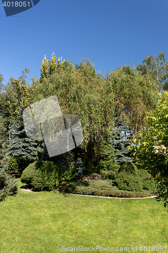 Image of Beautiful summer garden design
