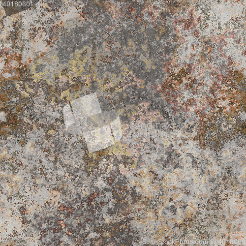 Image of seamless lichen background