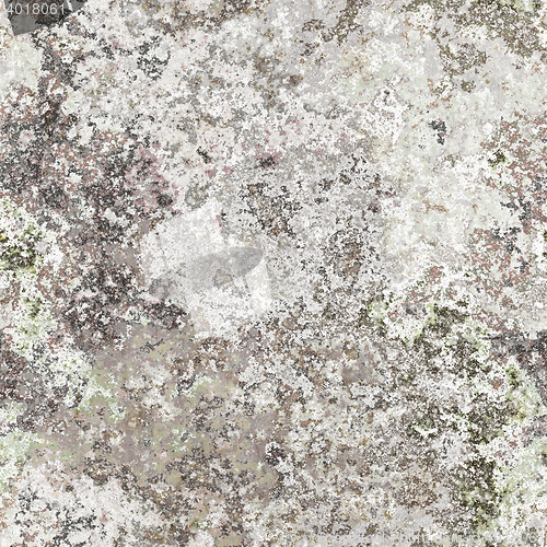 Image of seamless lichen background