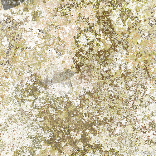 Image of seamless lichen background