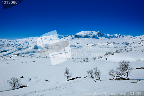 Image of Snow covered mountain