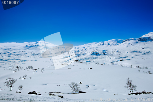 Image of Snow covered mountain