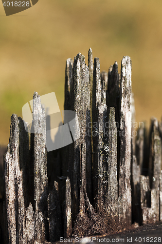 Image of old wood fracture