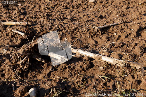 Image of plowed for sowing the land