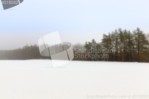 Image of fog in winter