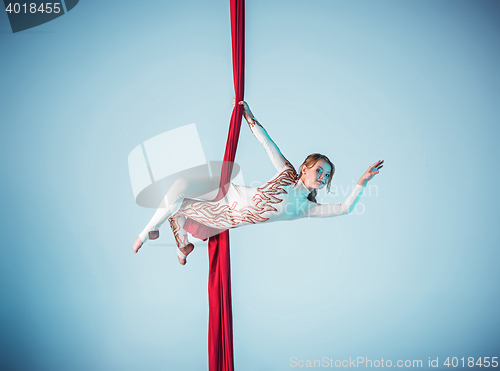 Image of Graceful gymnast performing aerial exercise