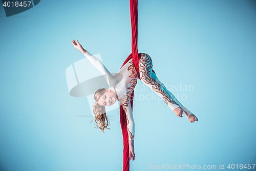 Image of Graceful gymnast performing aerial exercise