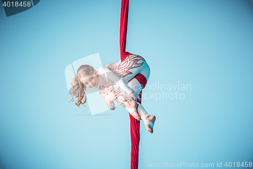 Image of Graceful gymnast performing aerial exercise