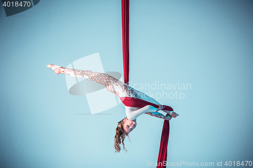 Image of Graceful gymnast performing aerial exercise