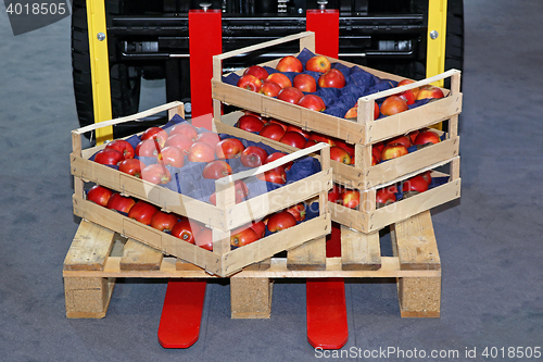 Image of Apples in Crates