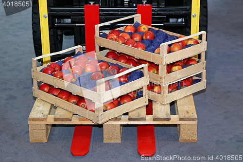Image of Apples in Crates