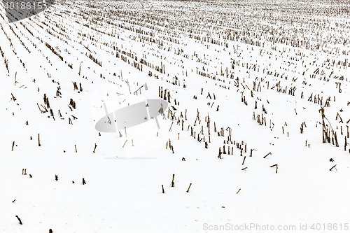 Image of agriculture field in winter