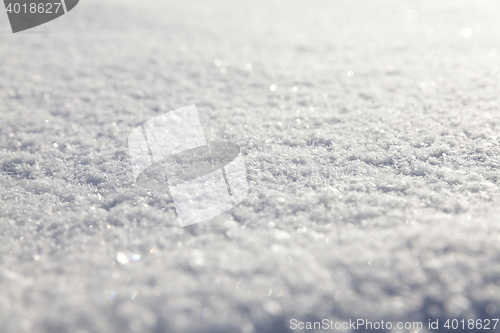 Image of snow on the ground