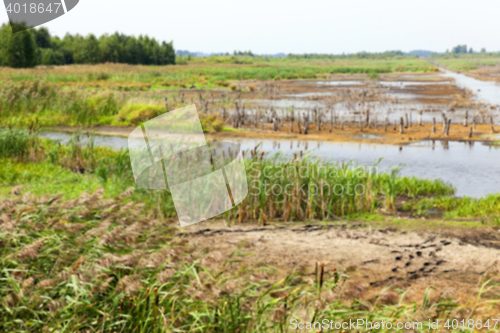 Image of moorland, summer time