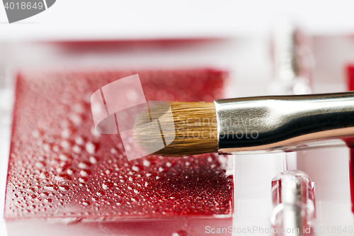 Image of red women\'s cosmetics