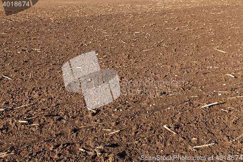 Image of plowed for sowing the land