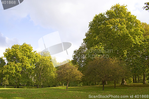 Image of Sun at the park