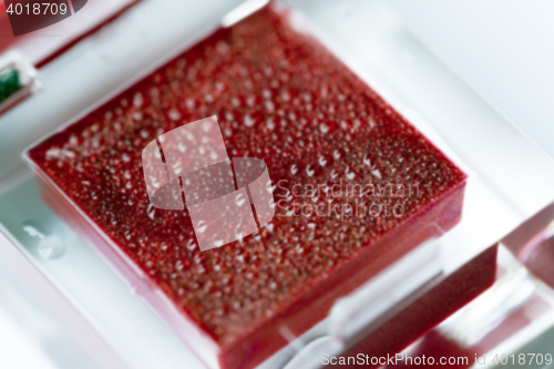 Image of red women\'s cosmetics