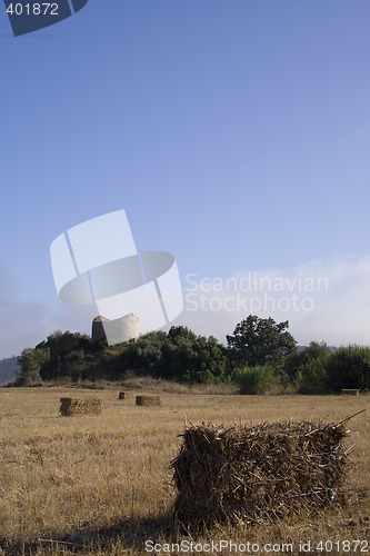 Image of Farm landscape