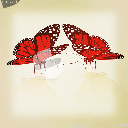 Image of beauty butterflies. 3D illustration. Vintage style.