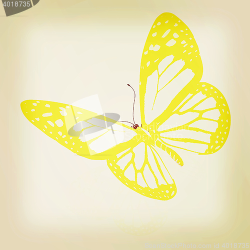 Image of beauty butterfly. 3D illustration. Vintage style.
