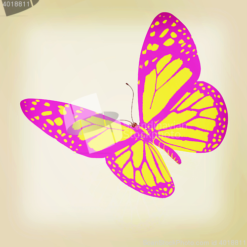 Image of beauty butterfly. 3D illustration. Vintage style.