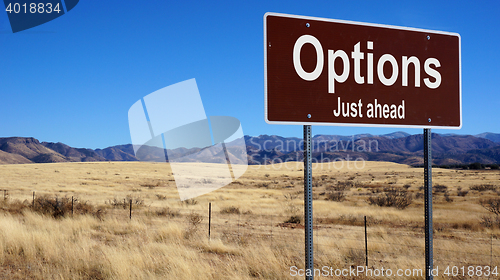 Image of Options brown road sign