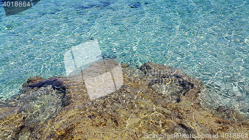 Image of Bright sea water and coastal rocks