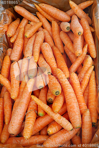 Image of Bright carrot