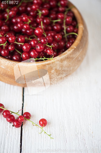 Image of Fresh red currants