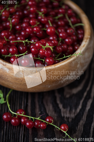 Image of Fresh red currants