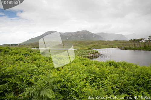 Image of view to island in lake or river at ireland