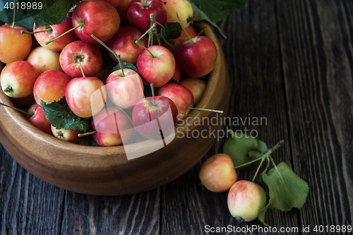 Image of Fresh harvest of apples