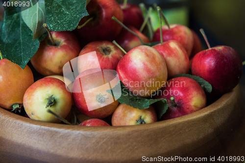 Image of Fresh harvest of apples