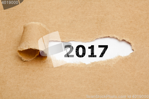 Image of Year 2017 Ripped Paper