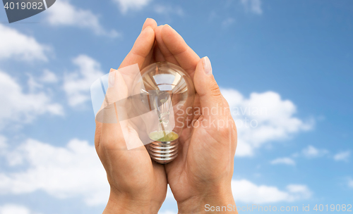 Image of close up of hands holding edison lamp or lightbulb