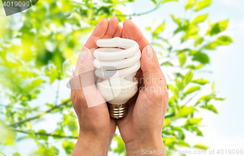 Image of close up of hands holding energy saving lightbulb