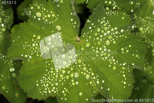 Image of glowing droplets