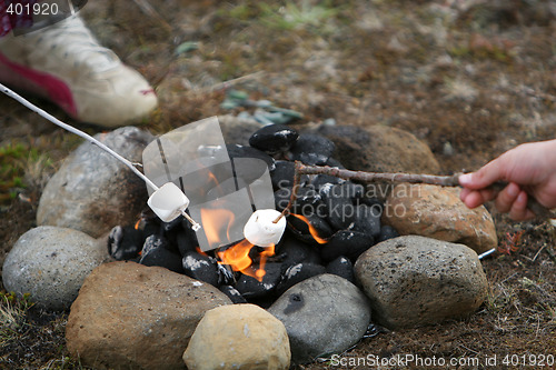 Image of marshmallow heatwave