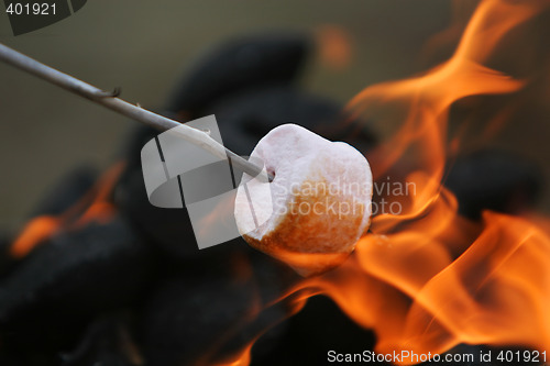 Image of fire roasted marshmallow