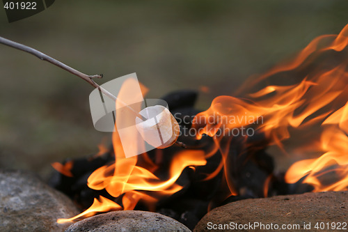 Image of marshmallow feast