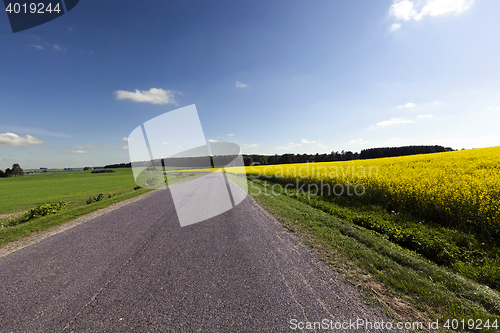Image of Summer road, field