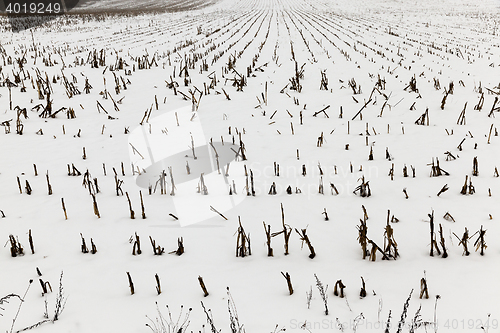 Image of agriculture field in winter