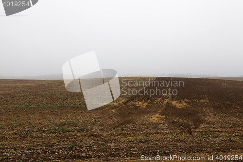 Image of plowed for sowing the land