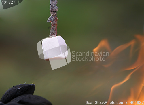 Image of marshmallow roasting