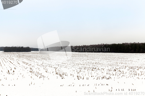 Image of agriculture field in winter